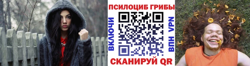 OMG зеркало  Кирсанов  Галлюциногенные грибы мухоморы 